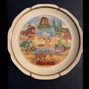 1960-70s Vintage Black Hills Souvenir Plate